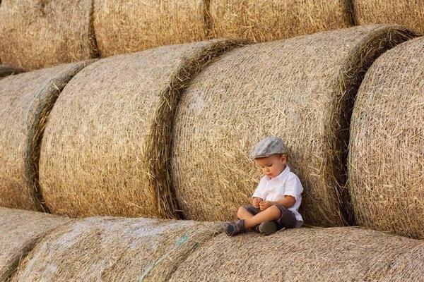 Gabriele_Corno's tweet photo. Little Farmer by Tatyana Tomsickova http://t.co/kxmw3gxEzl