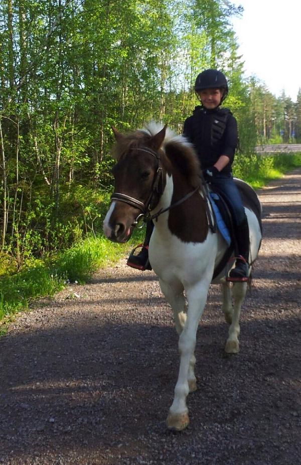 MollyBrandt's tweet photo. Rider på tisdagar! Så mysigt. Denna gång red jag Klara! http://t.co/oXldJnpgwq