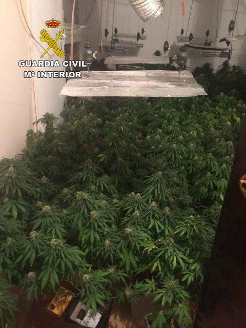 opcgranada's tweet photo. @guardiacivil descubre una plantación de cannabis en Guadahortuna y detiene al propietario de la vivienda http://t.co/FURyOg4lsI