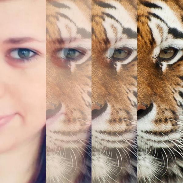 Enci51's tweet photo. Itt is unalom meg Fb-n is :/ http://t.co/dS4wsOpkRe