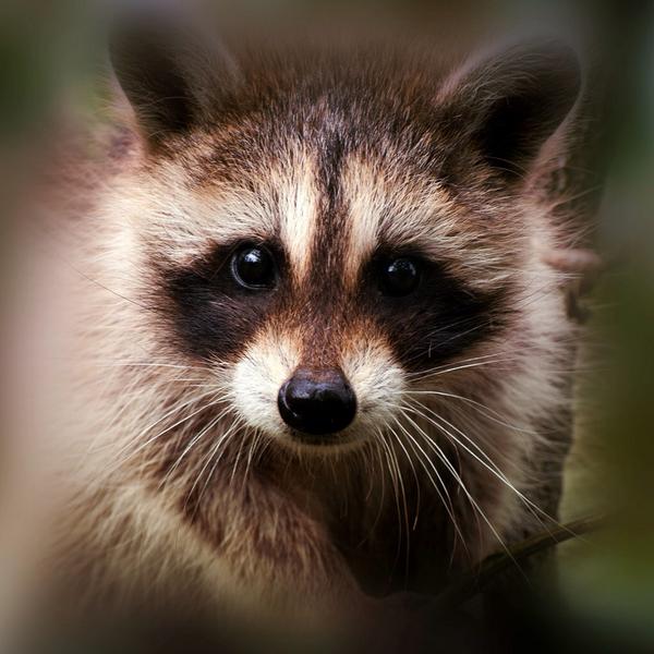 MollyBrandt's tweet photo. http://t.co/kl9ln9MUXZ