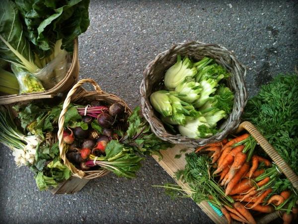 CharmouthDragon's tweet photo. Fresh fennel, chard, beets, courgettes today @whitehorselc from Tamarisk Farm's Bee Laughton #Surviving&amp;Thriving http://t.co/4OBolIEMR0