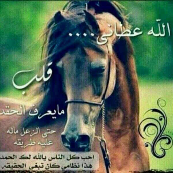 kli_shmoookh's tweet photo. http://t.co/3W6dtGlIBZ