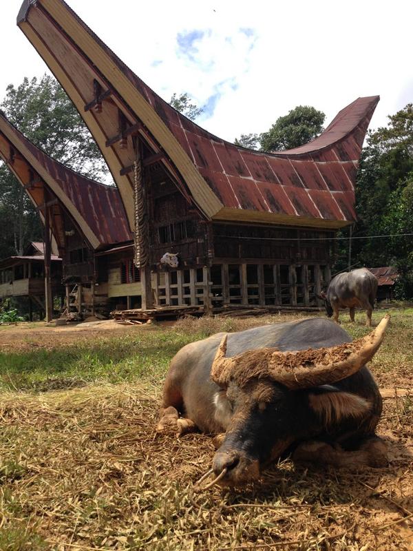 Brad Bernard tweet media