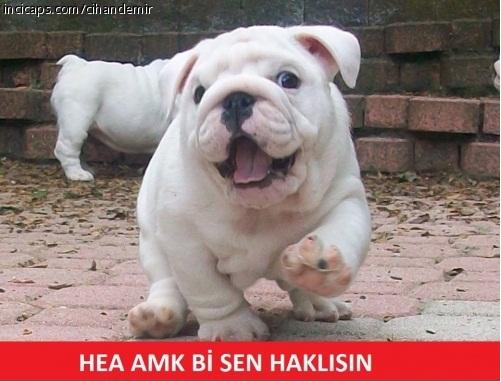 SercanAfacan's tweet photo. He he aynen http://t.co/OCHCMNNEuF