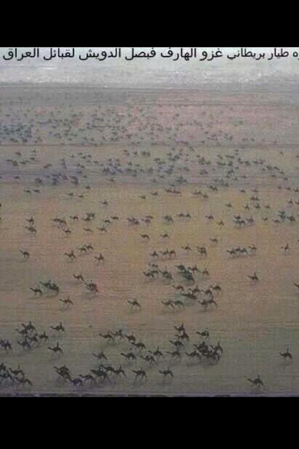 motala818's tweet image. من معجزات أمطير فعل العبيات. 
مضرب مثل فعل الشجاعة وأهلها. 
الطائرات أمن السماء صارت إحتات
في معركتهم شوف صورة بطلها