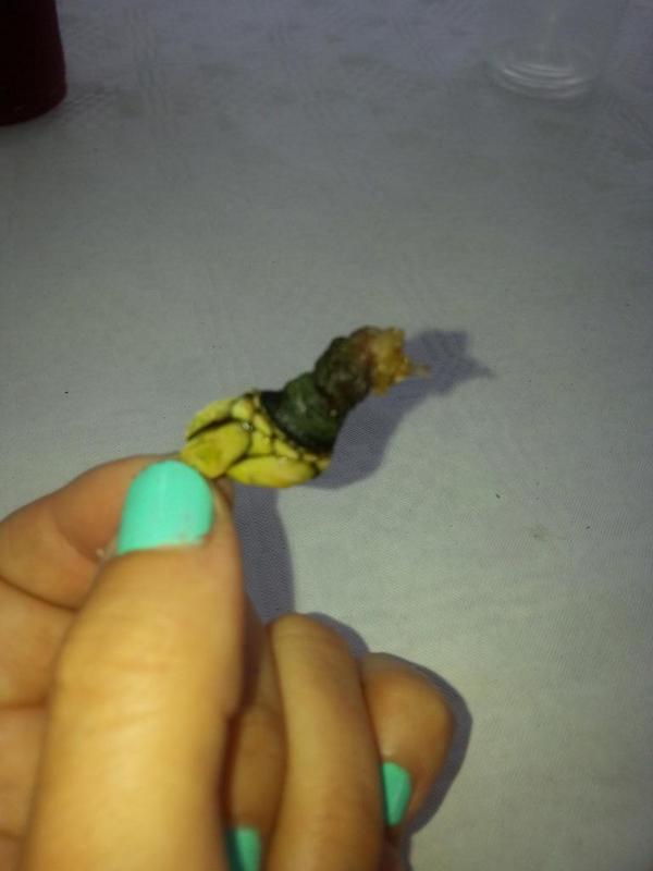 Menudo cipote me voy a comer.