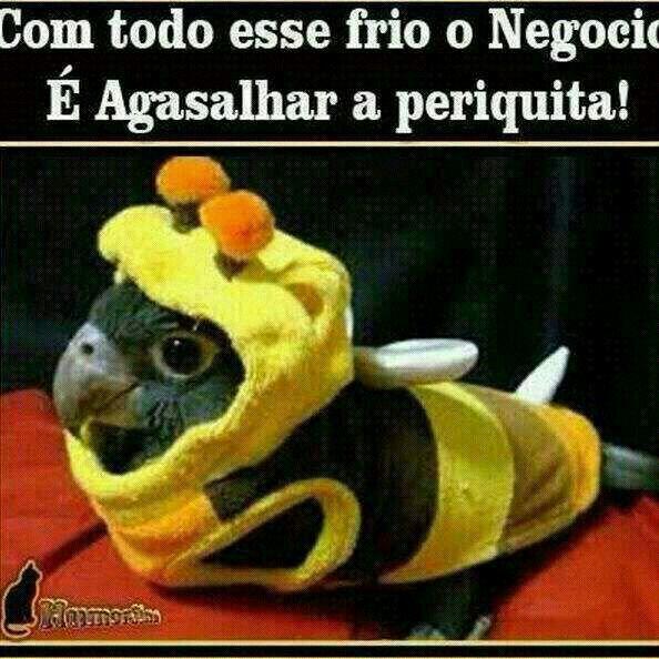 MailaneFlor's tweet photo. Tem que ser haha http://t.co/pxnK9qfho6