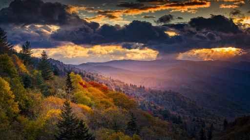 TermLifeTenn's tweet image. Good Morning From The Great State! #Tennessee #RockyTop #VFL #VolunteerState #HomeSweetHome