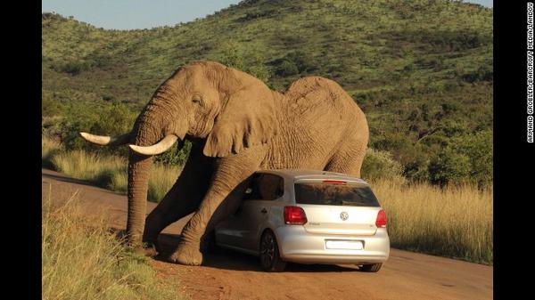 Happy Friday! OK witty commenters, let's hear your best captions. Here's the week in 34 photos cnn.it/1kqYcNZ