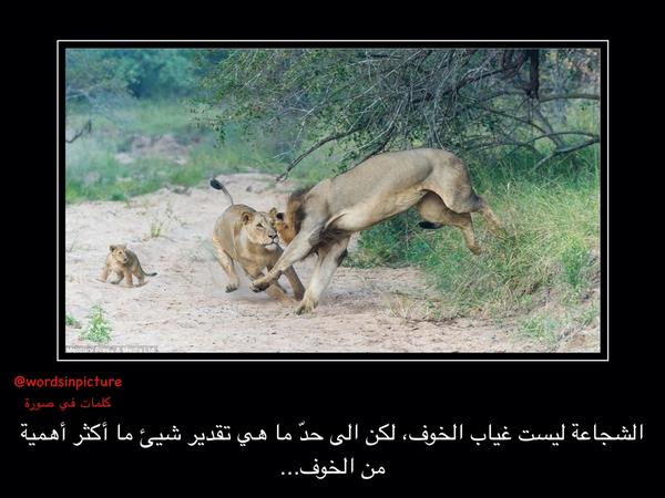 الشجاعة ليست غياب الخوف، لكن الى حدّ ما هي تقدير شيئ ما أكثر أهمية من الخوف...