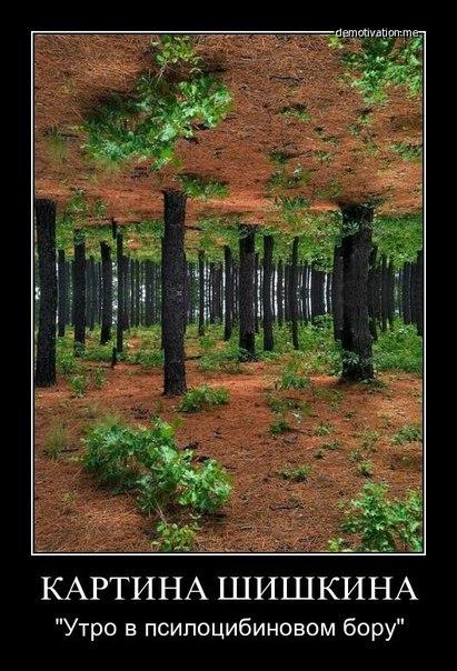 осторожно в лесу онанист. смешные деревья. шутки про лес. грибник карикатура. поле конопли прикол.