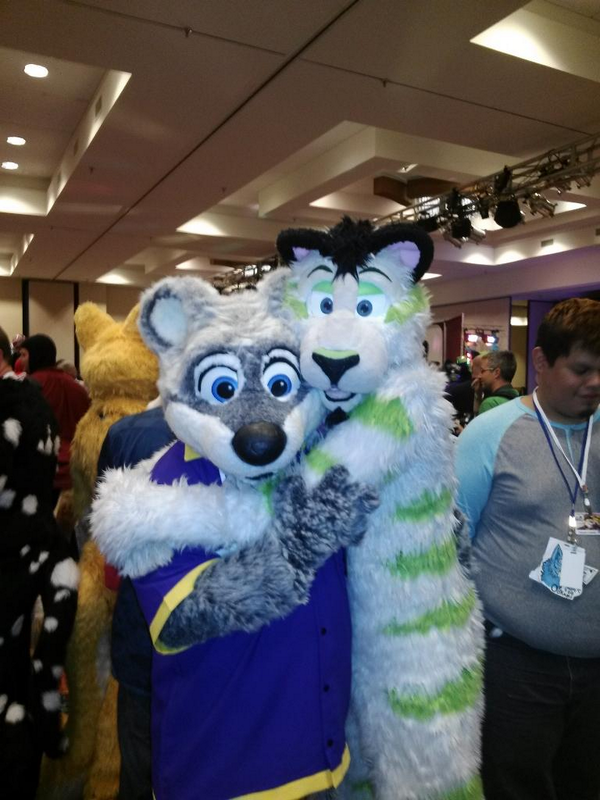 NereisOtter's tweet photo. Photo of myself and @FibreKitty at #Mplex14. Was wonderful to meet him! <3 <3 #FursuitFriday Photo by @cubbie_touche http://t.co/cjba1XIssI