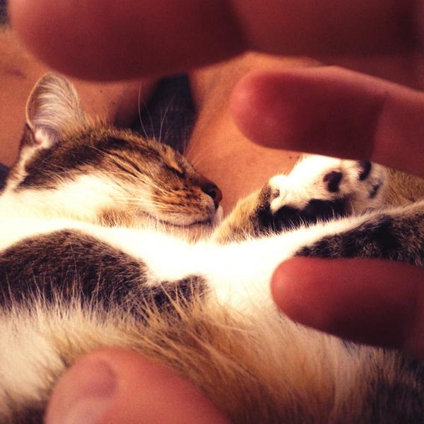 Tim Smit Tim Smit Twitter