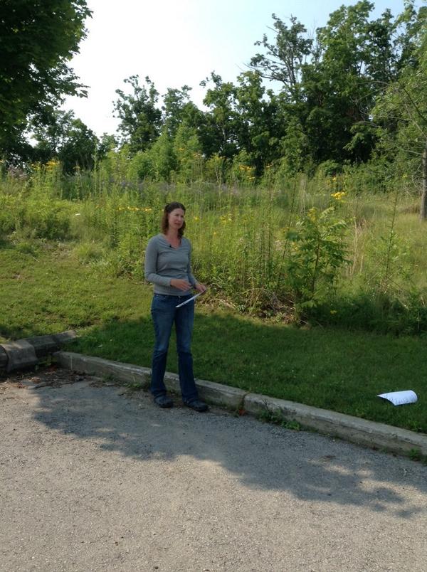 ConservHalton's tweet photo. Brenda is our resource on Giant Hogweed and lookalikes @cogeco http://t.co/ho34EwCoDj