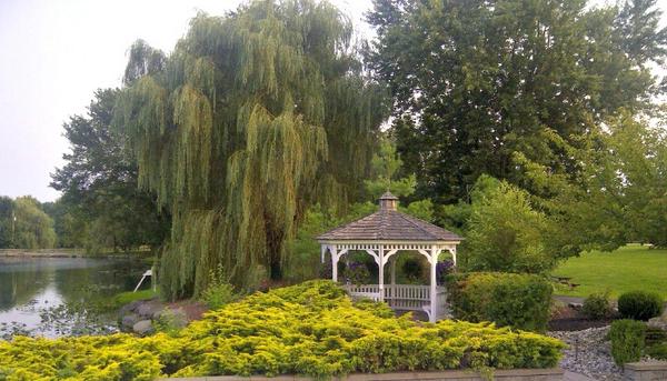 WOWNJ's tweet photo. Going to be a great #njwedding here this weekend. Prepping our tent for 250 guests on a gorgeous summer night. http://t.co/d4agTS8GUH