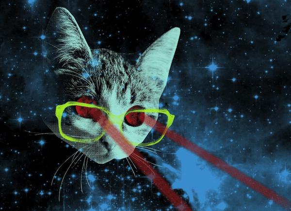threadless's tweet photo. If the internet implodes today, it's probably because it's Cat Day. #threadcal http://t.co/R3ZZ7uSgof http://t.co/8uQr5yKS6A