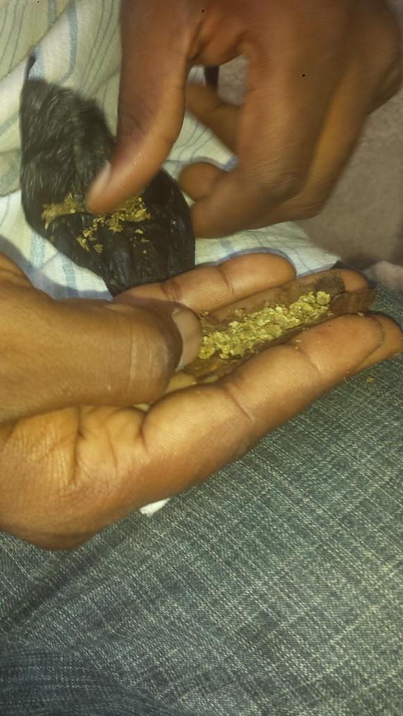 Ashira420's tweet image. My nigga @89glamorous rolling a big #blunt, at the #spack..!  #Kush