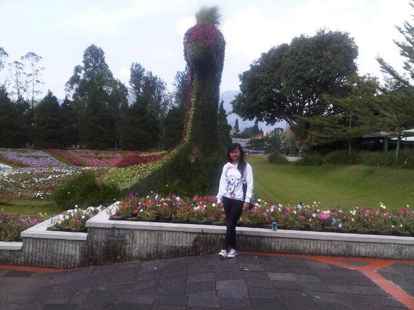 dhinierahman's tweet photo. Taman bunga nusantara http://t.co/RVXTUu5Odt