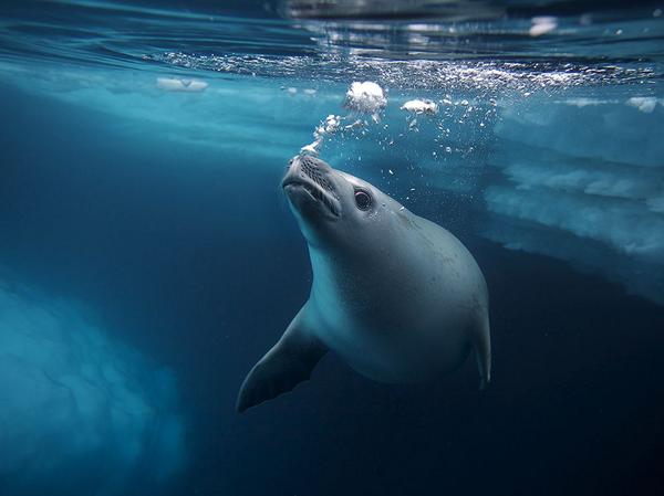 VapeUncle's tweet image. "What are you lookin' at?"