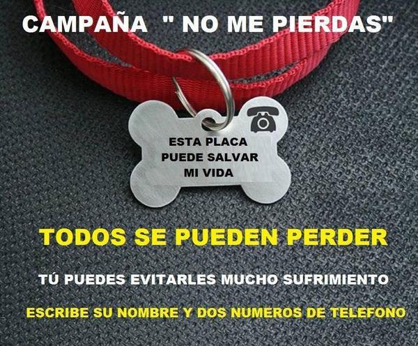 LargeBochm's tweet photo. “@adycoco: @MundoPatitas @FundacionTomy @PrrosPerdidosMX http://t.co/uPeV6h9OPU”🐶
