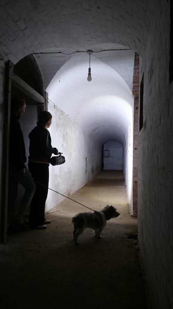 HiddenHeritage_'s tweet photo. @orcalight  #testing #underwater #lights #underground @whitsandbayhp #killerlumens #WOW http://t.co/5Wpe4uyjcA