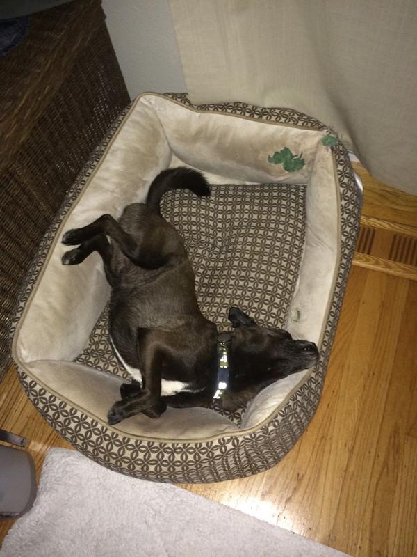 Marty Lew tweet media