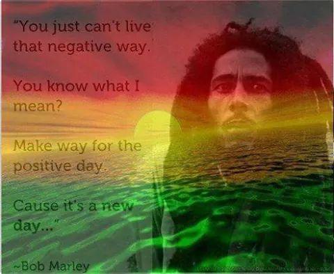 MyRaster's tweet image. 