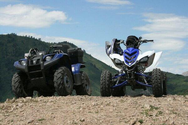 4wheelersRus's tweet photo. Speed or power? #yourchoice http://t.co/CLG4L4FP3f