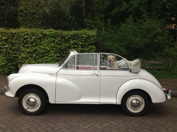 Helaas, dit snoepie kan niet mee naar #Vijlen 
Wie weet een liefhebber? #MorrisMinor 1965 (€8500)
RT...