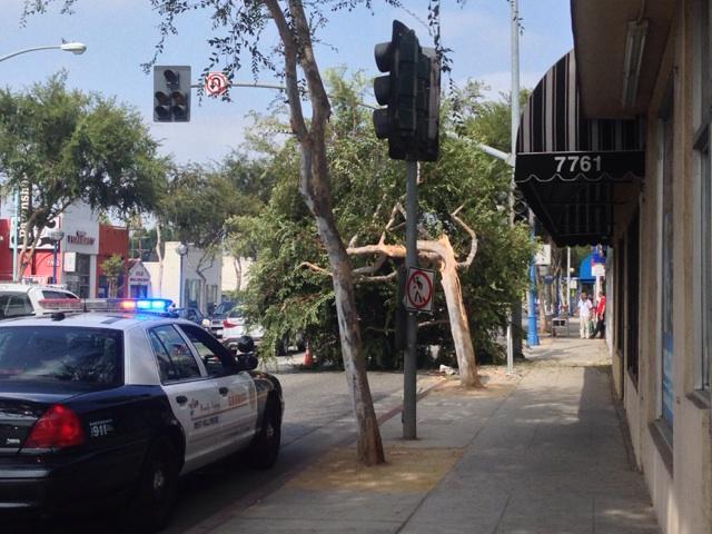 Watch sashsuicide's leaked NSFW photo on TwXstars