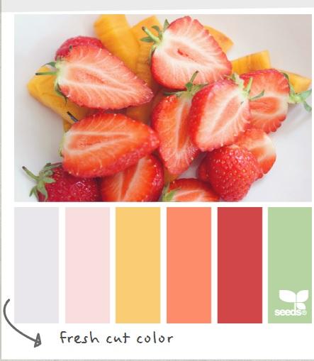 Modo_Bath's tweet image. Color Palette of the day, Courtesy of @designseeds! #Summer #Color #DesignSeeds