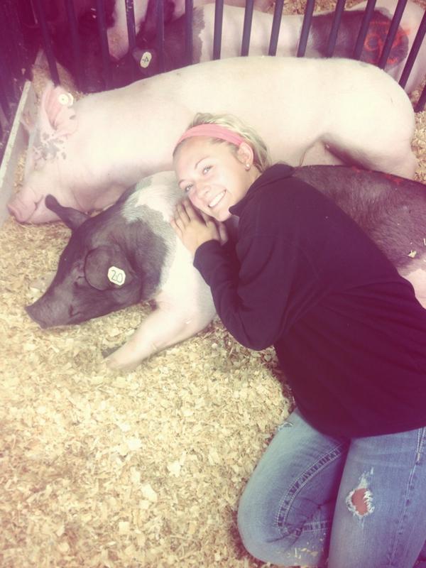Hjustesen's tweet photo. 🐷 http://t.co/VtK2aYjom5