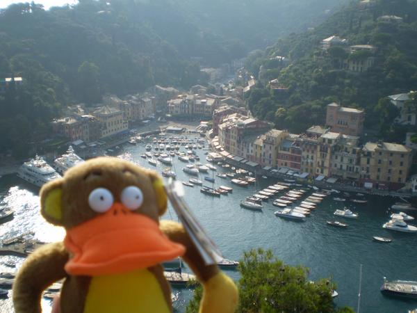 JUMBiES's tweet photo. Duckey vacationing in Italy...Ciao Portofino!  #JUMBiES http://t.co/FXjHPKWJzW