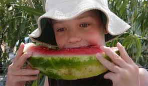 elmejorplanhoy's tweet photo. Fuentes penosamente informadas aseveran que la foto adjunta es de Barral, cuando de niño aún preferia la sandia... http://t.co/rZOFeSxXcw