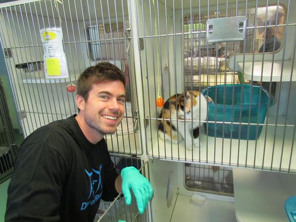 Columbia_Biz's tweet photo. #WorldCatDay #ICYMI @Columbia_Biz visited #NYC @ASPCA as part of #CommunityService for the #CBSDayofImpact http://t.co/cnf0lvXoIC