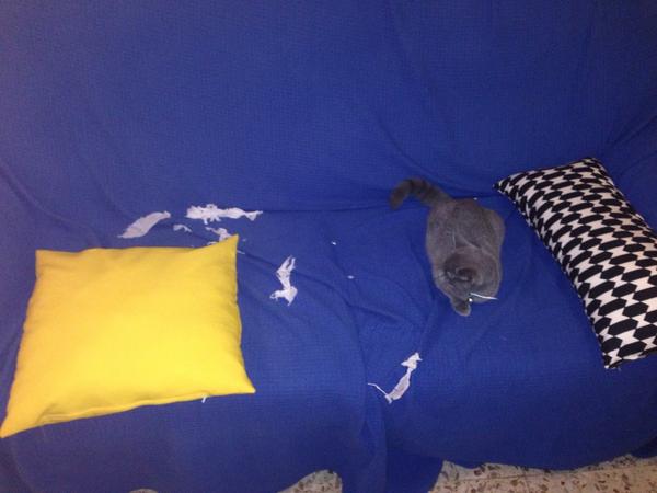 AlbaRodSan's tweet photo. Yo tampoco se quién ha sido... http://t.co/NhnmfgviUj