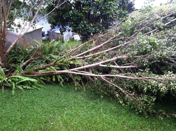 Casualty #2 #HurricaneIselle #hawaii