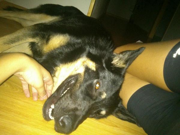 lorenageeme's tweet photo. Agotadas despues de la carrera de esta tarde. Ahora cenita y helado para recuperar =) http://t.co/A4SYjlryK6