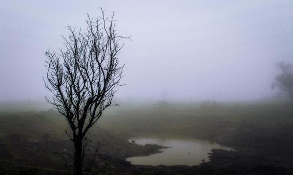 catchflash3's tweet image. Looks like way to mordor..#LOTR