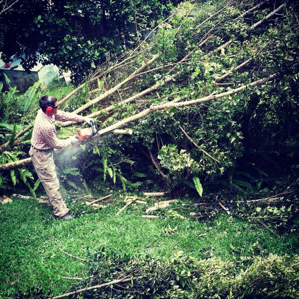#chef can be a #lumberjack too #hawaii #hurricaneiselle #islandfoodandwine