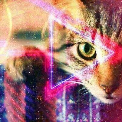 pittyfre's tweet image. 