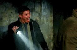 *sees kale* #warflashbacks #GISHWHES