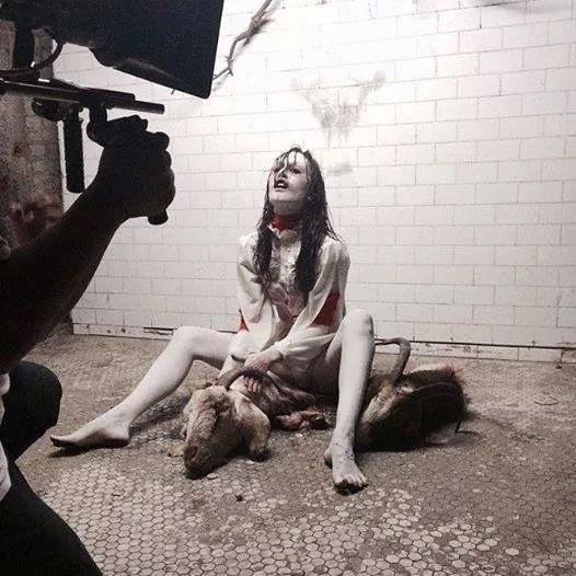 pittyfre's tweet image. 