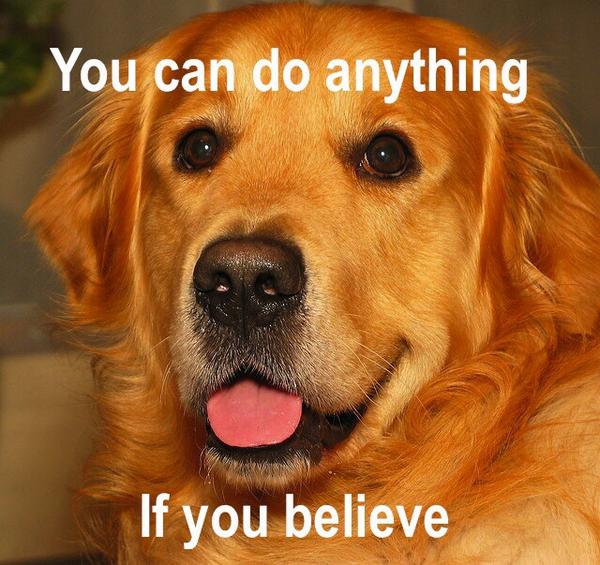 My motto for the week. #GISHWHES