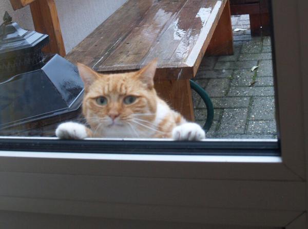 When your teammates submit awesome stuff and you look at your own like #GISHWHES