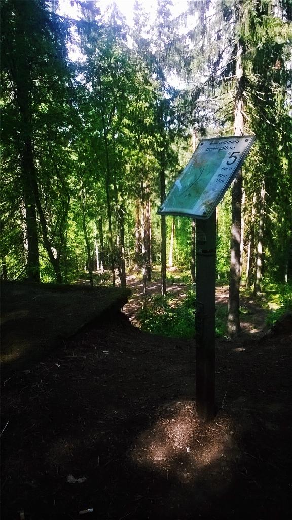 DiscGolfFin's tweet image. #frisbeegolfing #discgolf #innova #F4f #a7x #f2f #driver #putting