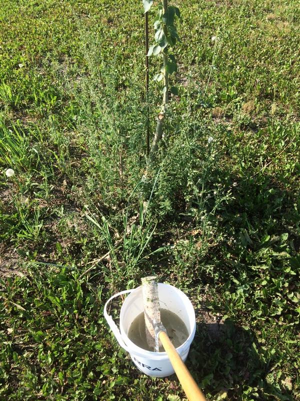 agropresident's tweet photo. New spray tech for trees, looking for investors to expand into orchards #spray14 #stillsprayin14 #groundbreaking http://t.co/S14d8d1f9G