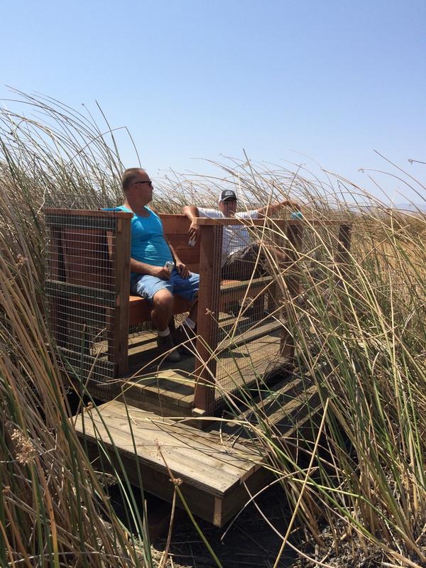 MyHuntingRoom's tweet photo. Building a new blind for the west pond today....it's hot! http://t.co/BfXsgh3R9e
