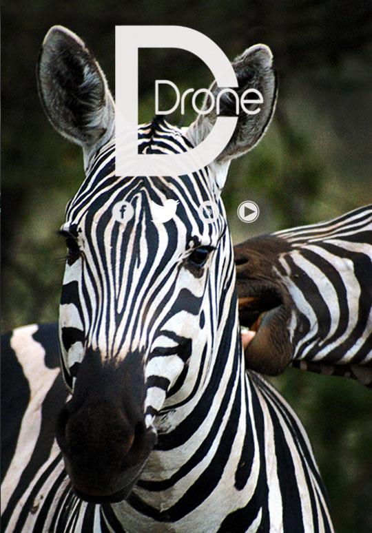 DDron3 tweet picture